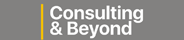 Consulting And Beyond