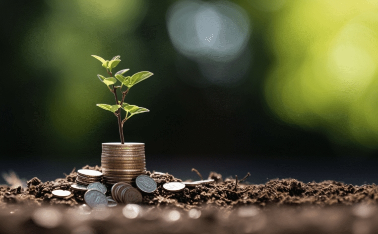 Image: Why Indian SMEs Must Rethink Their Capital Structures